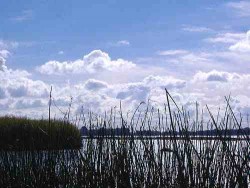 Leben heisst antworten Elbe