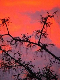 Bewusstsein und Ego-Abendrot_eeb_alt