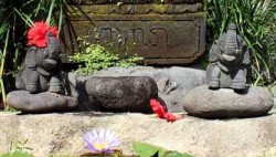 Warum sind Menschen widersprüchlich Meditation