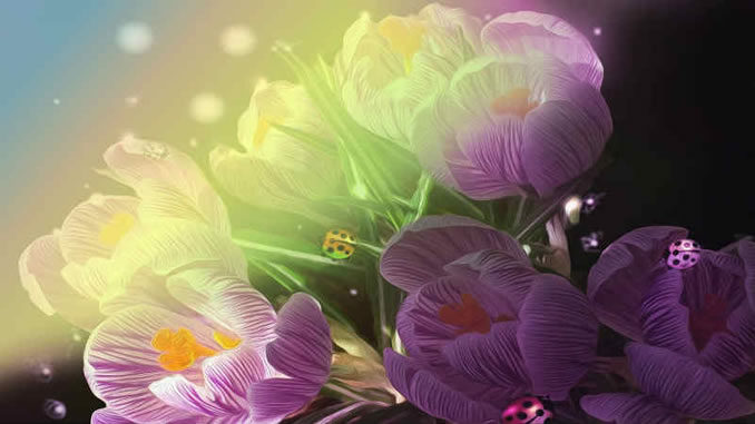 fruehling-erwachen-blumen.kaefer