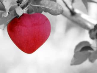 roter Apfel in schwarz weiss Bild