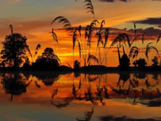 Spiegelung im Wasser