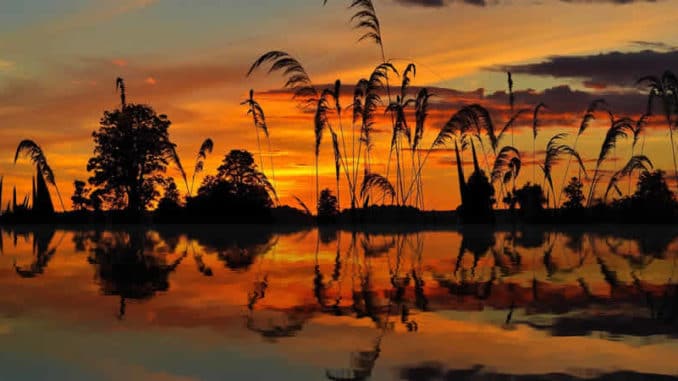 Spiegelung im Wasser