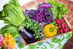 basische Ernährung frisches Gemüse