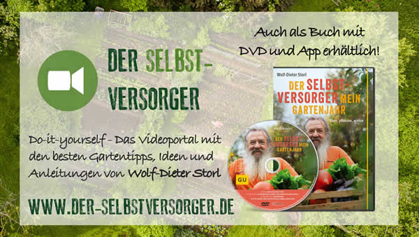 Wolf-Dieter Storl