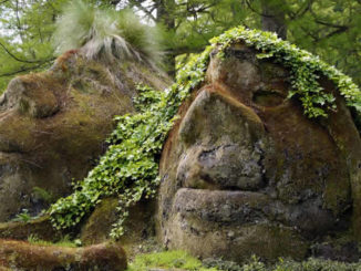 Trolle-Moos-Mystik-control