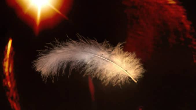 feder-kugel-licht-spring