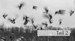 Transpersonale Psychologie und Innere Weisheit teil 2 holotropes atmen