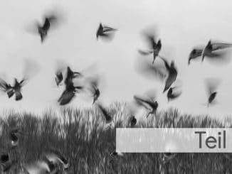 teil-3-holotropes-atmen