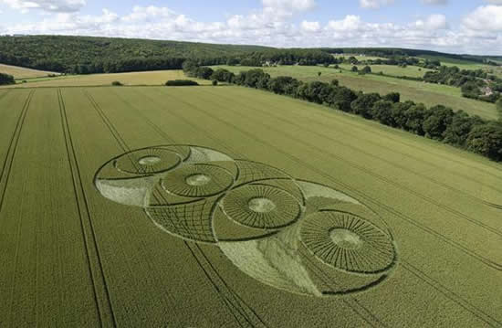 Eckhard-Weber-Hillside-Farm-2008