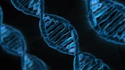 Epigenetik dns strang gene dna