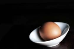 Baumgarten-Beitrag-Ei