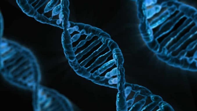 dns-strang-gene-dna