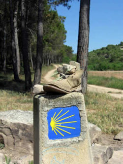 Auf spirituellen Reisen Deutschland neu entdecken