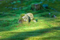 Vertrauen ist wie Liebe