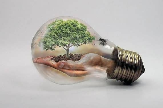 gluehbirne-baum-hand-bulb