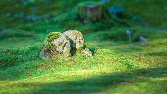 stein-figuren-wald-moos-jizo