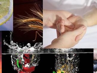 collage-lebe-gesund-comp