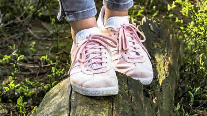 schuhe-baumstamm-gleichgewicht-shoes