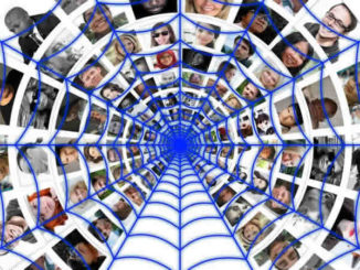 spinnennetz-fotos-cobweb