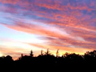 neuer-morgen-ackermann