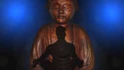 Worin liegt der Unterschied zwischen Wollen und SEIN buddha schatten yoga