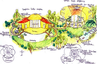 delphin-dom-dolphin-healing