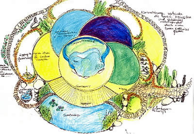 delphin-dom-dolphin-healing