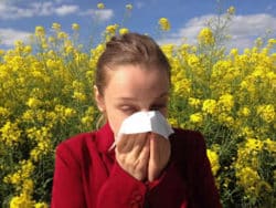 Naturheilmittel gegen Allergien Allergie Pollen Frau Raps allergy