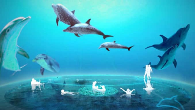 delphin-dom-dolphin-healing