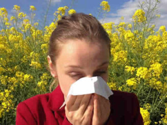 Allergie-Pollen-Frau-Raps-allergy