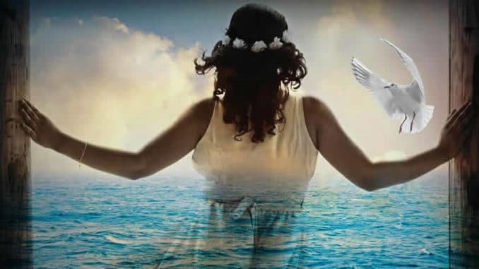 Frau-Taube-Meer-Licht-woman