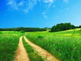 feld-weg-wiese-footpath