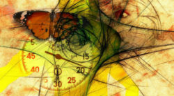 Der Februar Zahl schmetterling uhr butterfly