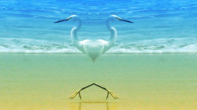 Voegel-meer-herz-beach