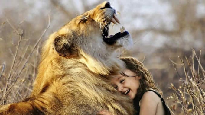 kind-loewe-lachen-lion