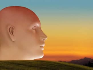 kopf-puppe-gelaende-sunset