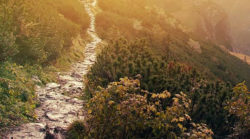 Seelenpfad warum Menschen ihn verlassen landschaft pfad
