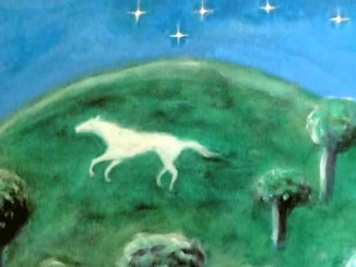 Carl-Franz-Digger-Weide