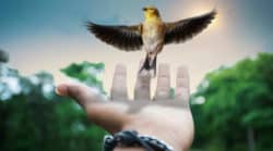 Bewusstsein ist alles