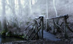 Mystische Naturerfahrung In einer ruhigen Akzeptanz des Göttlichen bruecke nebel bridge