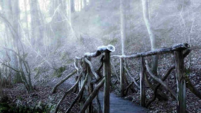bruecke-nebel-bridge