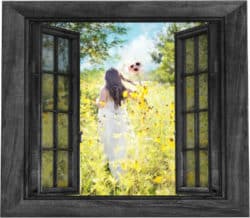 Die Macht des freien Seins fenster girl