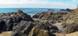liquid-mind-laguna-beach