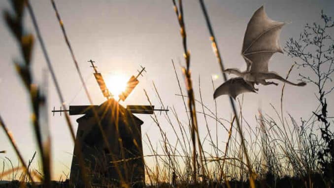 windmuehle-drachen-mill