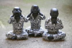 plastik-plastikmuell-Umwelt-buddha