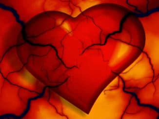 rot-oranges-gerissenes-herz-heart