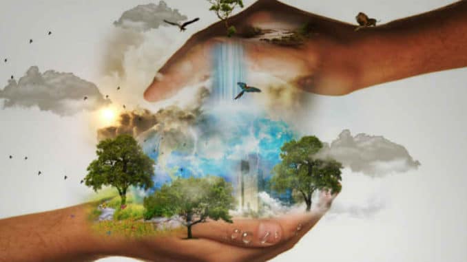 chuetzend-haende-nature-conservation