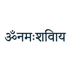 miguel-lourenco-om-namah-shivaya
