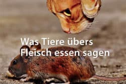 Sabine-Sebestyen-Buch-Fleischessen-cover